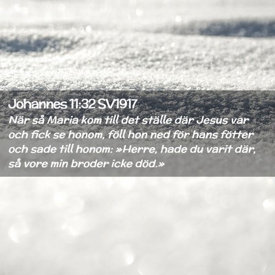 Picture 02 - Johannes 11:32 SV1917 - När så Maria kom till det ställe där Jesus - Bible Verse Picture