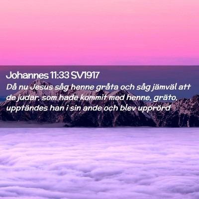 Picture 02 - Johannes 11:33 SV1917 - Då nu Jesus såg henne gråta och såg jämväl - Bible Verse Picture