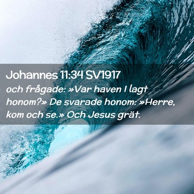 Picture 02 - Johannes 11:34 SV1917 - och frågade: »Var haven I lagt honom?» De - Bible Verse Picture