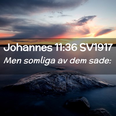 Picture 02 - Johannes 11:36 SV1917 - Men somliga av dem - Bible Verse Picture