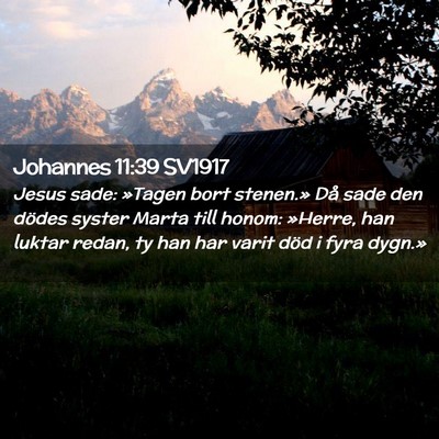 Picture 02 - Johannes 11:39 SV1917 - Jesus sade: »Tagen bort stenen.» Då sade den - Bible Verse Picture