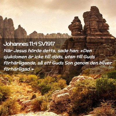 Picture 02 - Johannes 11:4 SV1917 - När Jesus hörde detta, sade han: »Den - Bible Verse Picture