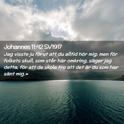 Picture 02 - Johannes 11:42 SV1917 - Jag visste ju förut att du alltid hör mig; men - Bible Verse Picture