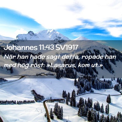 Picture 02 - Johannes 11:43 SV1917 - När han hade sagt detta, ropade han med hög - Bible Verse Picture