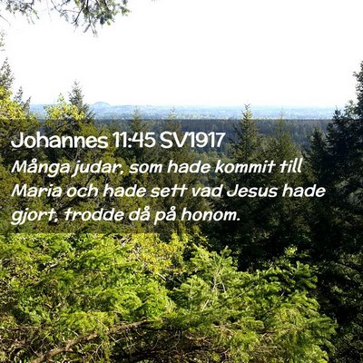 Picture 02 - Johannes 11:45 SV1917 - Många judar, som hade kommit till Maria och hade - Bible Verse Picture