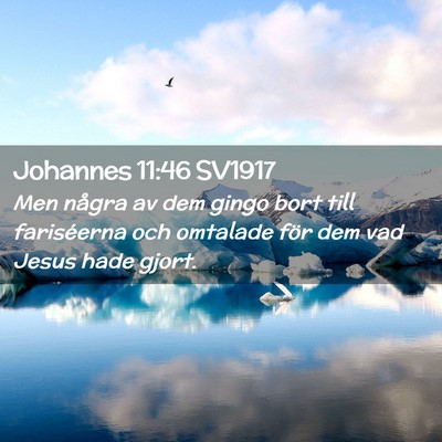 Picture 02 - Johannes 11:46 SV1917 - Men några av dem gingo bort till fariséerna och - Bible Verse Picture