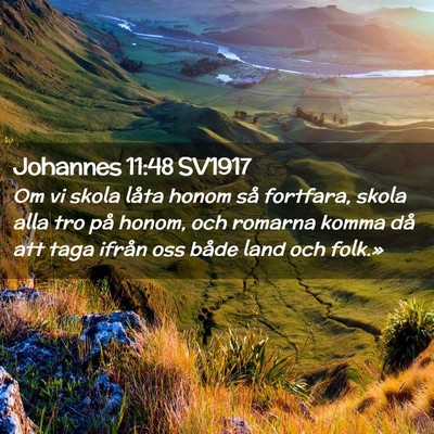 Picture 02 - Johannes 11:48 SV1917 - Om vi skola låta honom så fortfara, skola alla - Bible Verse Picture
