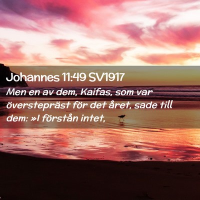 Picture 02 - Johannes 11:49 SV1917 - Men en av dem, Kaifas, som var överstepräst - Bible Verse Picture