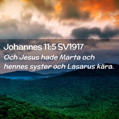 Picture 02 - Johannes 11:5 SV1917 - Och Jesus hade Marta och hennes syster och - Bible Verse Picture