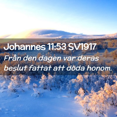 Picture 02 - Johannes 11:53 SV1917 - Från den dagen var deras beslut fattat att döda - Bible Verse Picture