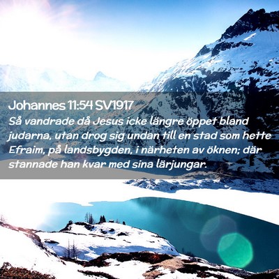 Picture 02 - Johannes 11:54 SV1917 - Så vandrade då Jesus icke längre öppet bland - Bible Verse Picture