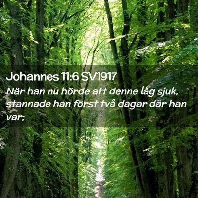 Picture 02 - Johannes 11:6 SV1917 - När han nu hörde att denne låg sjuk, stannade - Bible Verse Picture