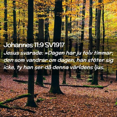 Picture 02 - Johannes 11:9 SV1917 - Jesus svarade: »Dagen har ju tolv timmar; den - Bible Verse Picture