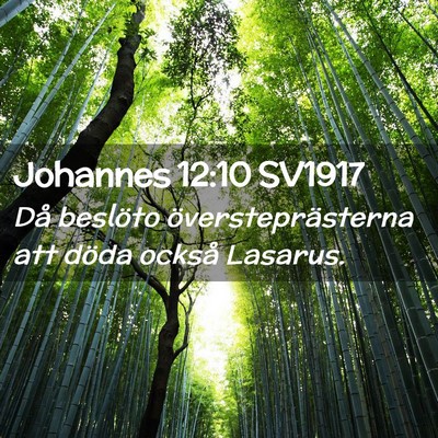 Picture 02 - Johannes 12:10 SV1917 - Då beslöto översteprästerna att döda också - Bible Verse Picture