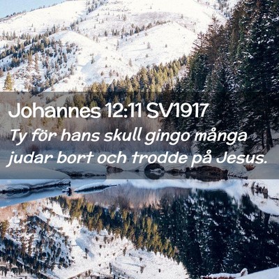 Picture 02 - Johannes 12:11 SV1917 - Ty för hans skull gingo många judar bort och - Bible Verse Picture