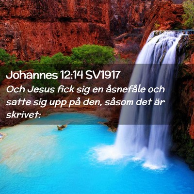 Picture 02 - Johannes 12:14 SV1917 - Och Jesus fick sig en åsnefåle och satte sig - Bible Verse Picture