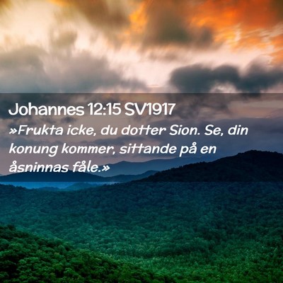 Picture 02 - Johannes 12:15 SV1917 - »Frukta icke, du dotter Sion. Se, din konung - Bible Verse Picture