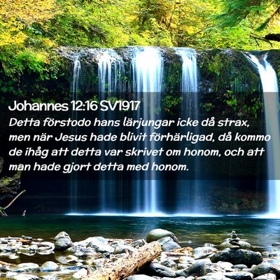 Picture 02 - Johannes 12:16 SV1917 - Detta förstodo hans lärjungar icke då strax, - Bible Verse Picture