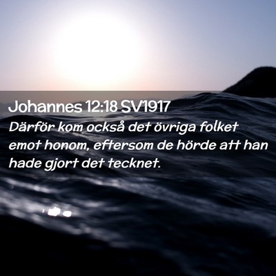 Picture 02 - Johannes 12:18 SV1917 - Därför kom också det övriga folket emot - Bible Verse Picture