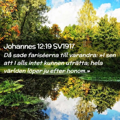 Picture 02 - Johannes 12:19 SV1917 - Då sade fariséerna till varandra: »I sen att I - Bible Verse Picture