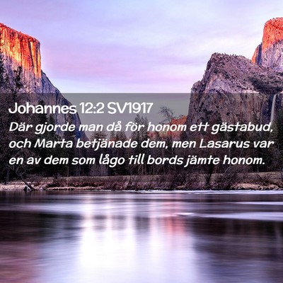 Picture 02 - Johannes 12:2 SV1917 - Där gjorde man då för honom ett gästabud, och - Bible Verse Picture
