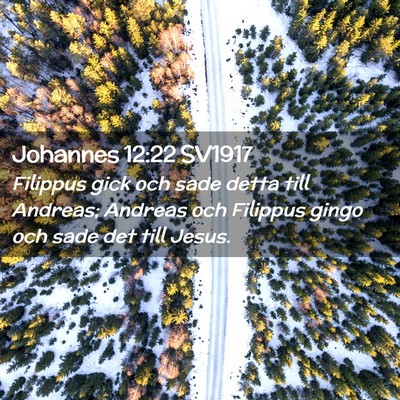 Picture 02 - Johannes 12:22 SV1917 - Filippus gick och sade detta till Andreas; - Bible Verse Picture