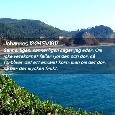 Picture 02 - Johannes 12:24 SV1917 - Sannerligen, sannerligen säger jag eder: Om icke - Bible Verse Picture