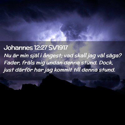 Picture 02 - Johannes 12:27 SV1917 - Nu är min själ i ångest; vad skall jag väl - Bible Verse Picture