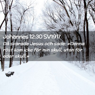 Picture 02 - Johannes 12:30 SV1917 - Då svarade Jesus och sade: »Denna röst kom - Bible Verse Picture