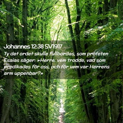 Picture 02 - Johannes 12:38 SV1917 - Ty det ordet skulle fullbordas, som profeten - Bible Verse Picture