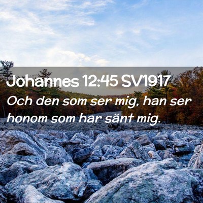Picture 02 - Johannes 12:45 SV1917 - Och den som ser mig, han ser honom som har sänt - Bible Verse Picture