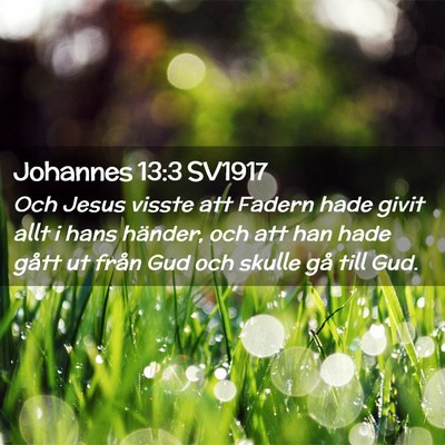 Picture 02 - Johannes 13:3 SV1917 - Och Jesus visste att Fadern hade givit allt i - Bible Verse Picture