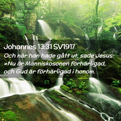 Picture 02 - Johannes 13:31 SV1917 - Och när han hade gått ut, sade Jesus: »Nu är - Bible Verse Picture