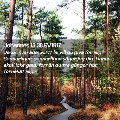 Picture 02 - Johannes 13:38 SV1917 - Jesus svarade: »Ditt liv vill du giva för mig? - Bible Verse Picture