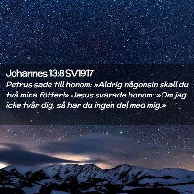 Picture 02 - Johannes 13:8 SV1917 - Petrus sade till honom: »Aldrig någonsin skall - Bible Verse Picture