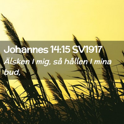 Picture 02 - Johannes 14:15 SV1917 - Älsken I mig, så hållen I mina - Bible Verse Picture