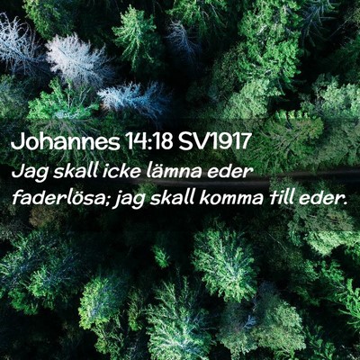 Picture 02 - Johannes 14:18 SV1917 - Jag skall icke lämna eder faderlösa; jag skall - Bible Verse Picture