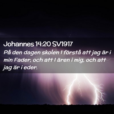 Picture 02 - Johannes 14:20 SV1917 - På den dagen skolen I förstå att jag är i min - Bible Verse Picture