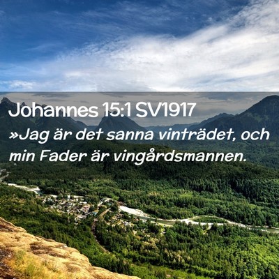 Picture 02 - Johannes 15:1 SV1917 - »Jag är det sanna vinträdet, och min Fader är - Bible Verse Picture