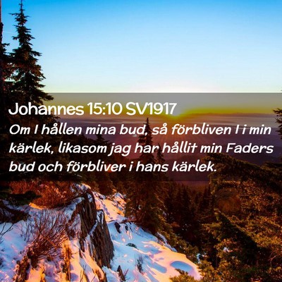 Picture 02 - Johannes 15:10 SV1917 - Om I hållen mina bud, så förbliven I i min - Bible Verse Picture