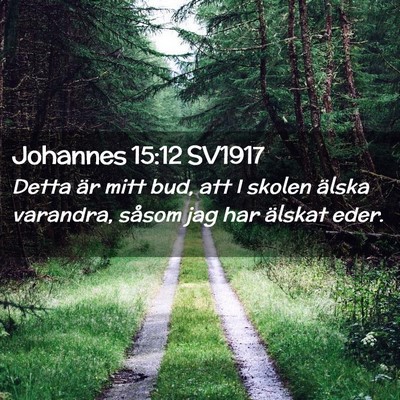 Picture 02 - Johannes 15:12 SV1917 - Detta är mitt bud, att I skolen älska varandra, - Bible Verse Picture