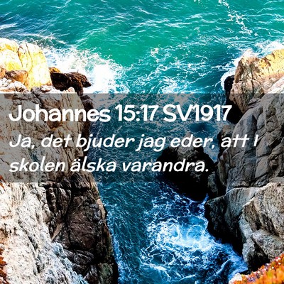 Picture 02 - Johannes 15:17 SV1917 - Ja, det bjuder jag eder, att I skolen älska - Bible Verse Picture