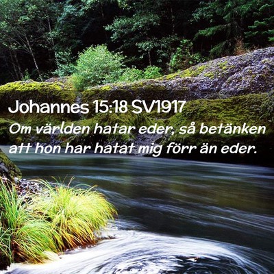 Picture 02 - Johannes 15:18 SV1917 - Om världen hatar eder, så betänken att hon har - Bible Verse Picture