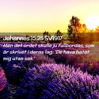 Picture 02 - Johannes 15:25 SV1917 - Men det ordet skulle ju fullbordas, som är - Bible Verse Picture