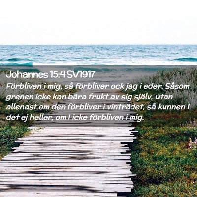 Picture 02 - Johannes 15:4 SV1917 - Förbliven i mig, så förbliver ock jag i eder. - Bible Verse Picture