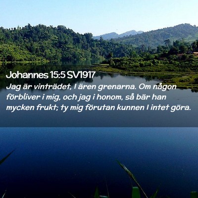 Picture 02 - Johannes 15:5 SV1917 - Jag är vinträdet, I ären grenarna. Om någon - Bible Verse Picture