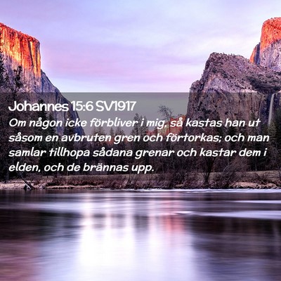 Picture 02 - Johannes 15:6 SV1917 - Om någon icke förbliver i mig, så kastas han - Bible Verse Picture