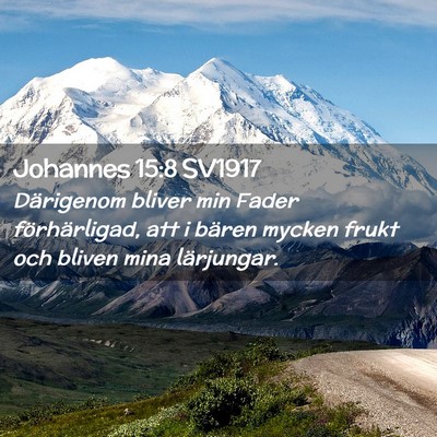Picture 02 - Johannes 15:8 SV1917 - Därigenom bliver min Fader förhärligad, att i - Bible Verse Picture