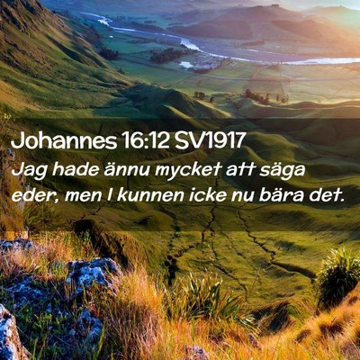 Picture 02 - Johannes 16:12 SV1917 - Jag hade ännu mycket att säga eder, men I - Bible Verse Picture