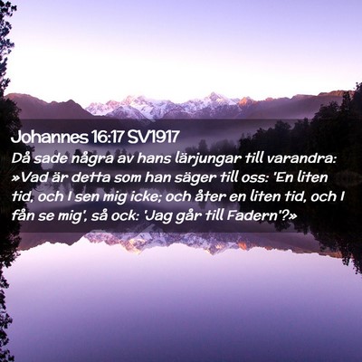 Picture 02 - Johannes 16:17 SV1917 - Då sade några av hans lärjungar till varandra: - Bible Verse Picture